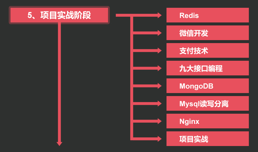 5.項目實戰(zhàn)階段