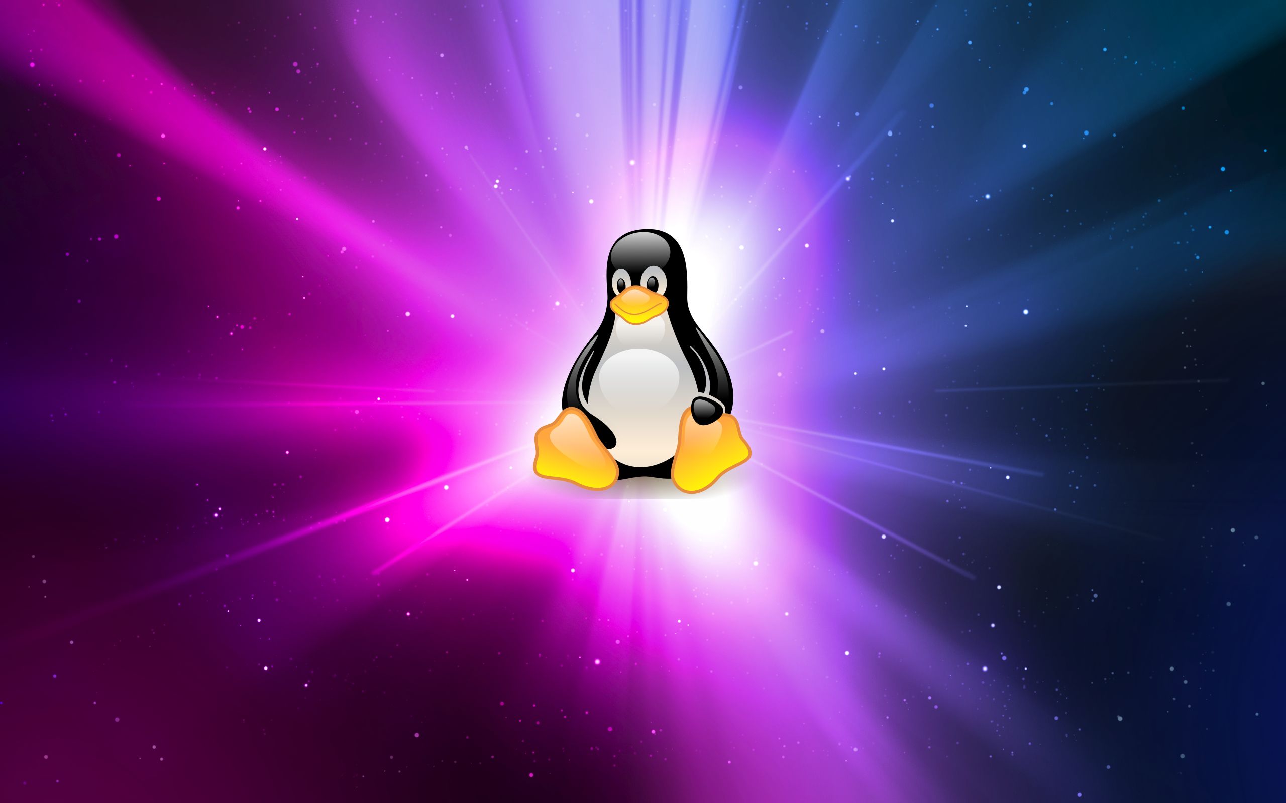 linux查找文件