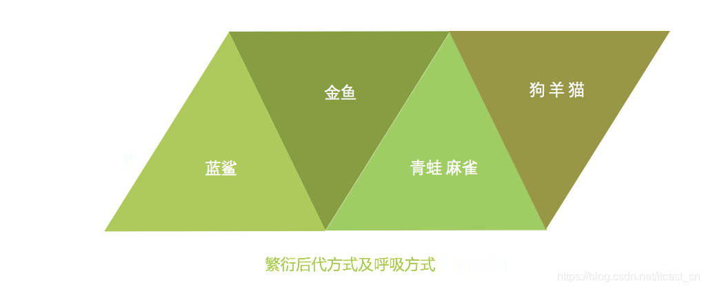 機(jī)器學(xué)習(xí)中入門(mén)級(jí)必學(xué)的算法